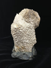 Quartz Pseudomorph Calcite