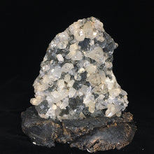 Scepter Quartz with Hematite