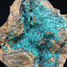 Auricalcite pseudo Hemimorphite