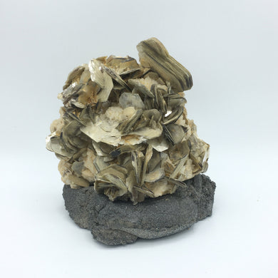 Muscovite